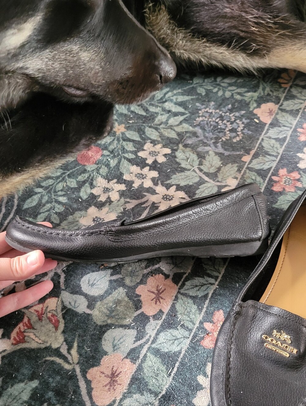 Coach Loafers - Picture 6 of 6